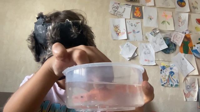 Распаковка игрушки морские животные смотреть онлайн