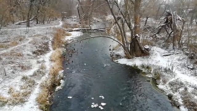 Гуси-лебеди смотреть онлайн