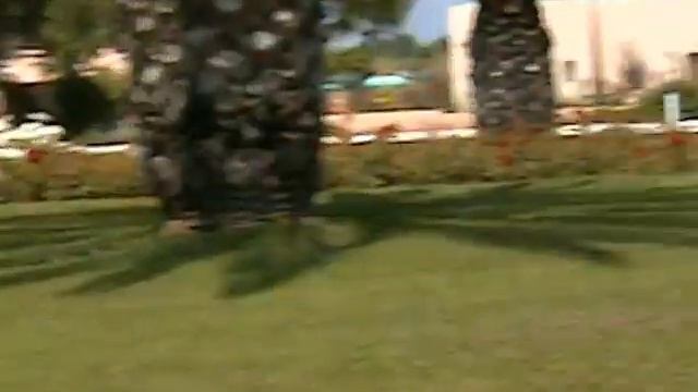 Creta Paradise смотреть онлайн