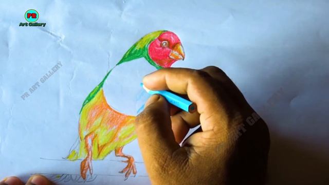 PR Art Gallery // Finch Bird // फिन्च चीरीया //Fine Art birds panting смотреть онлайн