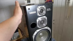 Yamaha ns 30x