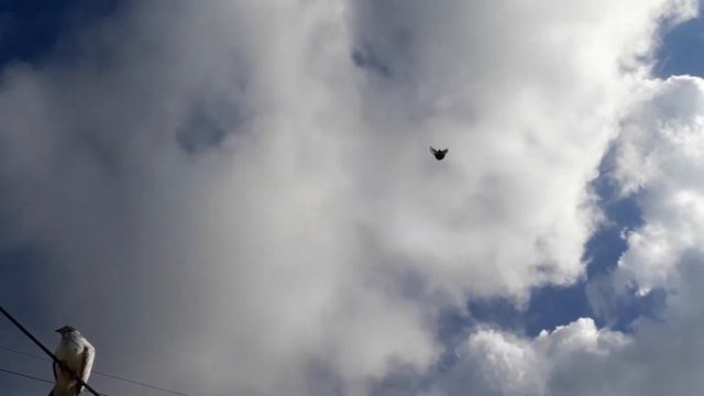 Молодежь подрастает - 1. смотреть онлайн