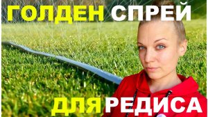 Система полива редиса. Сеем жёлтые томаты.
