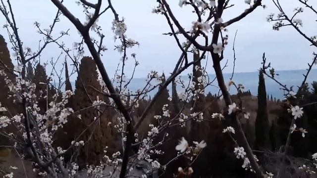 Весенний Симеиз смотреть онлайн