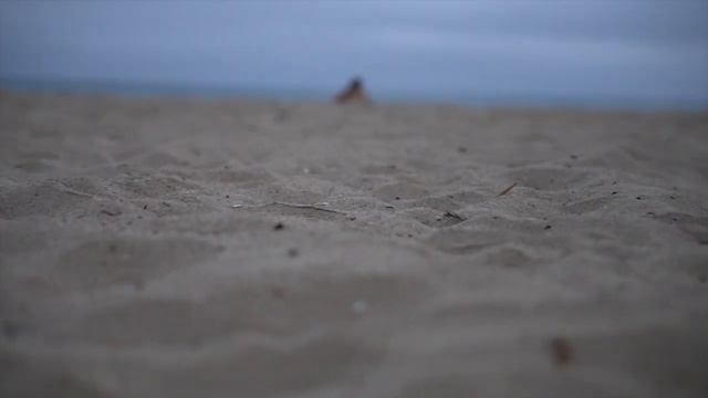 Alfred Beach Training - A6500 Camera Test смотреть онлайн