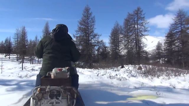 К таёжным отшельникам Верхоянских гор. Часть 2. Прогулки по окрестностям и рыбалка по пути. смотреть онлайн