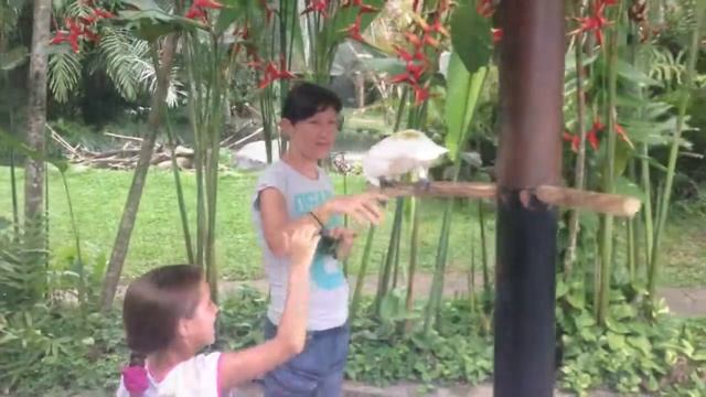 Bali, Indonesia 2014 part 1 смотреть онлайн