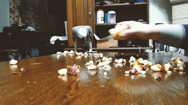 жако Марк, расправа с яблрком# jako mark смотреть онлайн