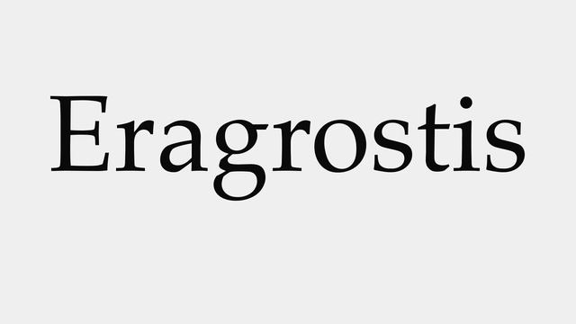 How to Pronounce Eragrostis смотреть онлайн