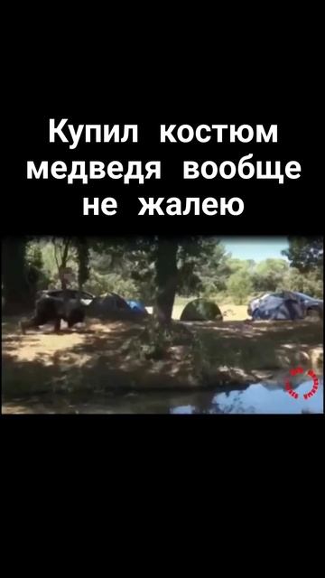 Купил костюм медведя теперь не жалею