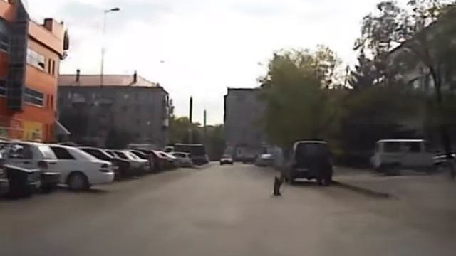 Маленький пешеход чуть не угодил под колеса