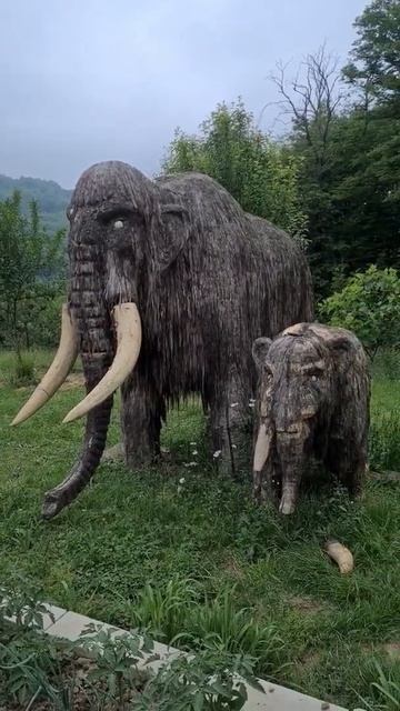 Мамонты в Сочи! смотреть онлайн