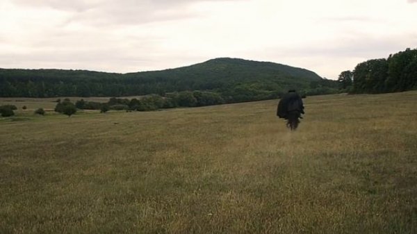 The Darkling & Alina | Survivor - Shadow and Bone - Дарклинг & Алина - Тень и Кость