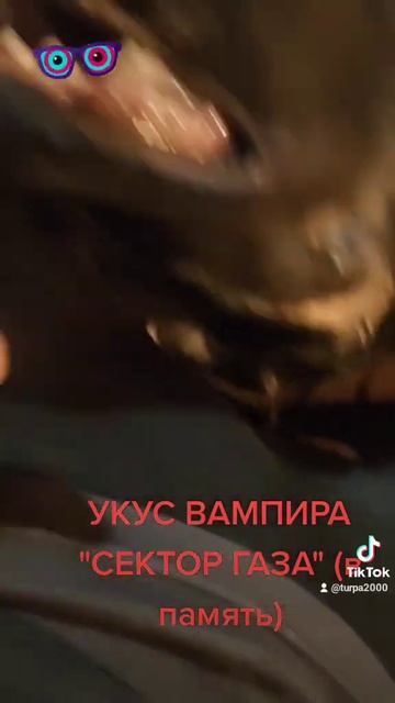 Когда и как меняются зубы у нем. овчарок? У моей в 6 месяцев, больше хрящей, игрушек давать!
