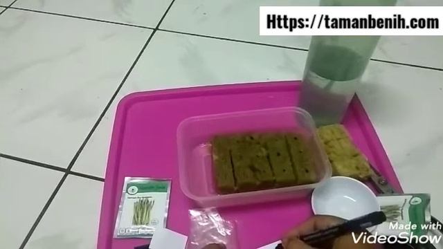 Cara semai biji asparagus | menanam asparagus di dataran rendah | taman benih смотреть онлайн