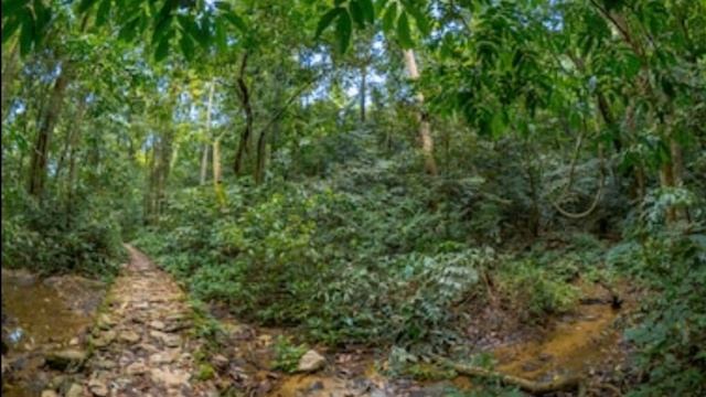 Cobra Kai Character Backstory Episode 2: John Kreese and Vietnam Part l смотреть онлайн