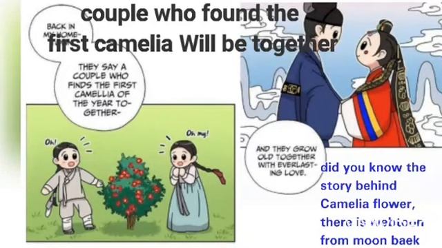 #kimtaehyung #kimyoojung #btsv The Story behind of Camellia (Snow flower) Taeyoo смотреть онлайн