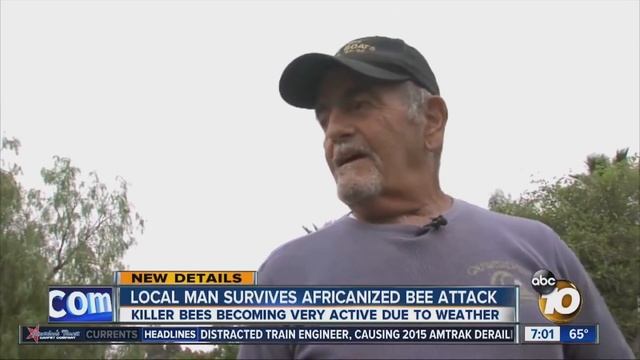 If you see this, RUN THE OTHER WAY FAST! Top Ten Deadliest Insects in the World you should avoid! смотреть онлайн