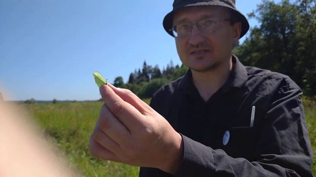 Всё ЗБС! № 2. Как ловить бабочек смотреть онлайн