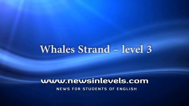 Whales Strand – level 3 смотреть онлайн
