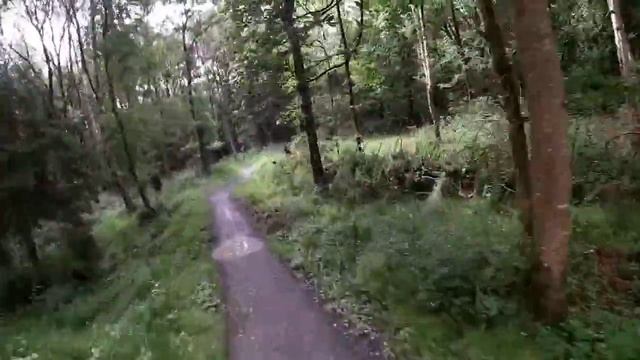 Mountain bike Trail Riding in Gosford Forest Park NI смотреть онлайн