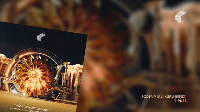 T-Puse - Ecotrip (Ali Kuru Remix) смотреть онлайн
