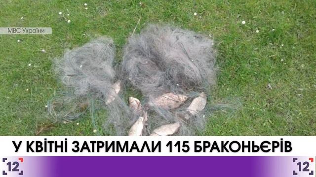 У квітні затримали 115 браконьєрів смотреть онлайн