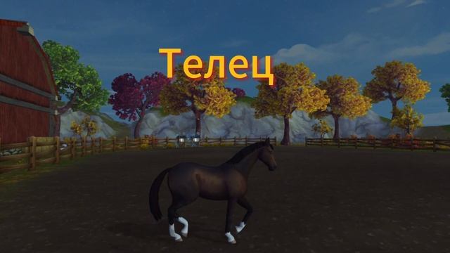 Знаки Зодиака как - лошади в Star Stable:) 1 часть смотреть онлайн