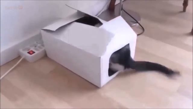 Ржу не могу смотреть онлайн