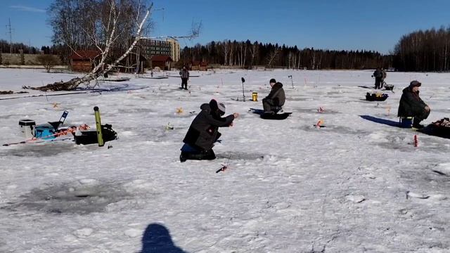 Поимка на поставушку смотреть онлайн