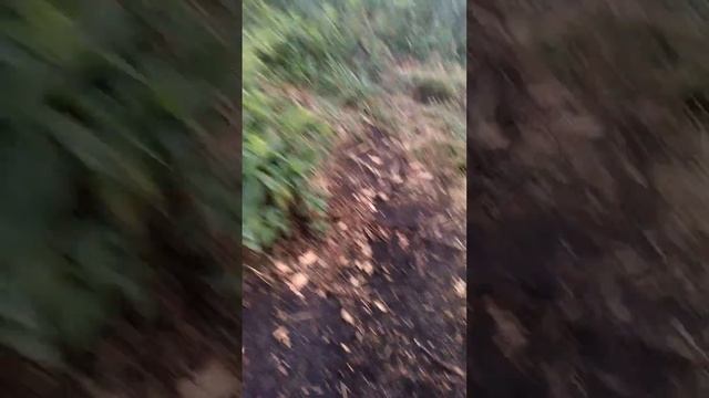 6 июля 2022 г. смотреть онлайн