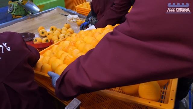 가을한철에만 100만개 생산! 겉말속촉 달콤한 반건시(곶감) 대량생산/ korean sweet snack dried persimmon mass production смотреть онлайн