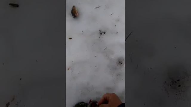любимый когалымский завал смотреть онлайн