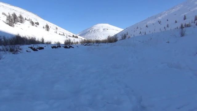 К таёжным отшельникам Верхоянских гор. Часть 4. Хозяйственные дела Ираиды и Василия. смотреть онлайн