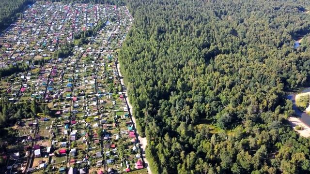 сосновая роща парк смотреть онлайн