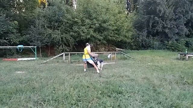 В.В.Аврора Восходящая звезда 30.07.2017