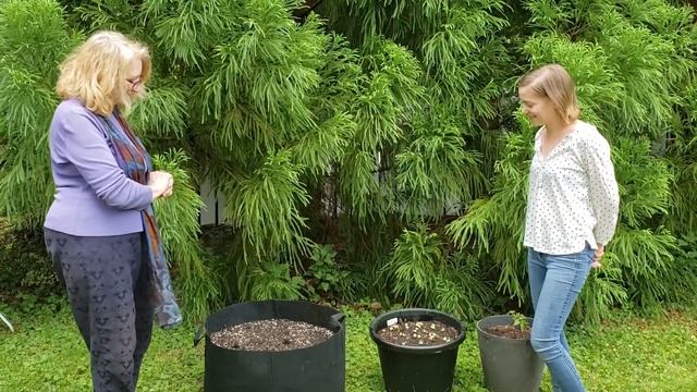 Virtual Garden Tour: Dawn Mazzone's Garden Flourishes! (June 2020) смотреть онлайн