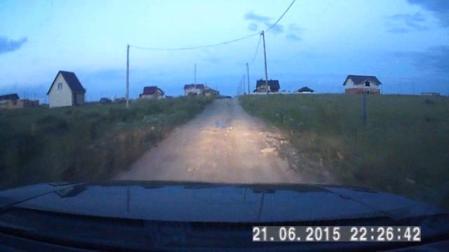 Кабанчики на дороге