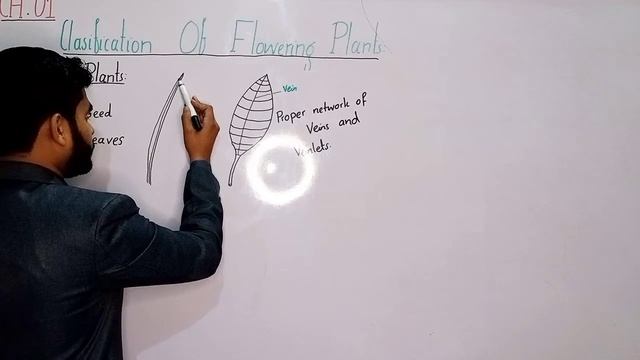 Classification Of Flowering Plants Class 05 In Urdu Hindi | Chapter No 01 | Monocot And Dicot Plant смотреть онлайн