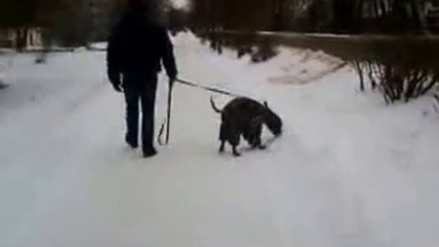 Гуляем смотреть онлайн