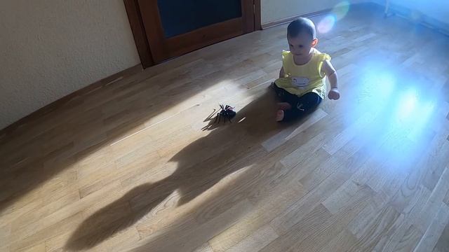 ПАУЧОК И МАЛЕНЬКАЯ ДЕВОЧКА. смотреть онлайн