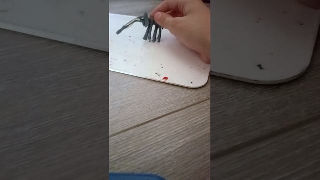 слон против анаконды