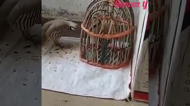 16 мая 2020 г. смотреть онлайн