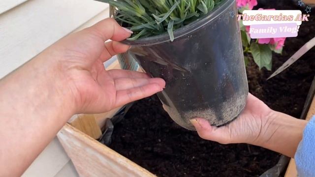 VLOG #122 : DIY PINK PLANTER BOX // PINK HYDRANGEA 🌸// GROWTH UPDATE | TheGacriasAK смотреть онлайн