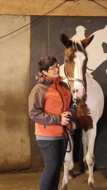 video output 0D4BFD25 1AE4 40ED B35B 847DA92BEFA7 смотреть онлайн