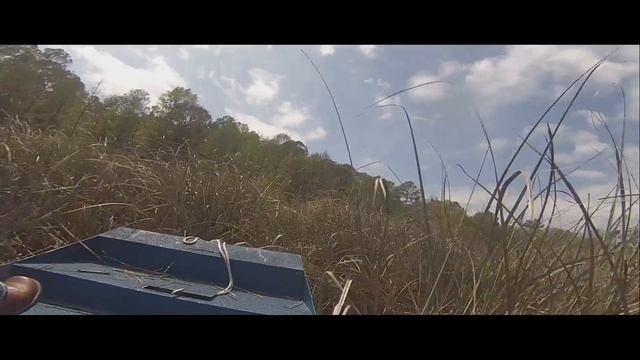 Airboating Hernando FL Citrus County 3-7-87 смотреть онлайн