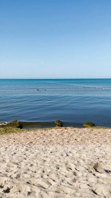 Мамочка длинные ноги отправила Хагги Вагги на море! Эволюция Хагги Вагги | Huggy смотреть онлайн