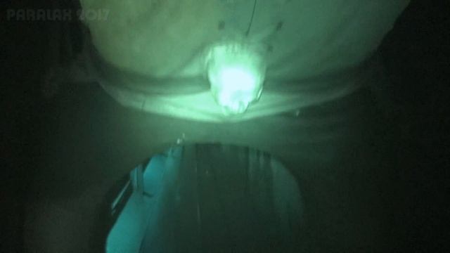 Geisterschlange (Lehmann) - Onride & Licht / Nightshot [POV / 50 fps] - Cranger Kirmes 2017 смотреть онлайн