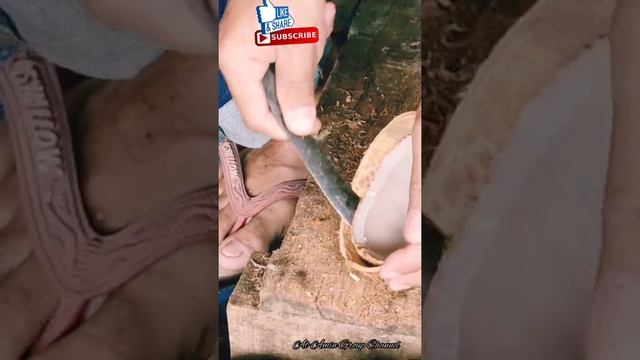 CARA MENCUNGKIL KOPRA PUTIH смотреть онлайн