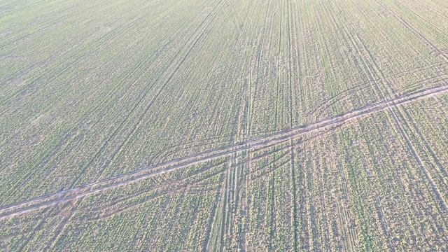 01.04.2021 поле 67 рапс смотреть онлайн